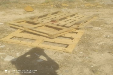 درخواست چوب سنجد